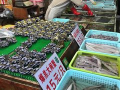 -大湾区中央湿地公园-十九涌