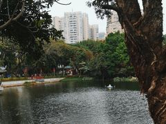 -荔湾湖公园