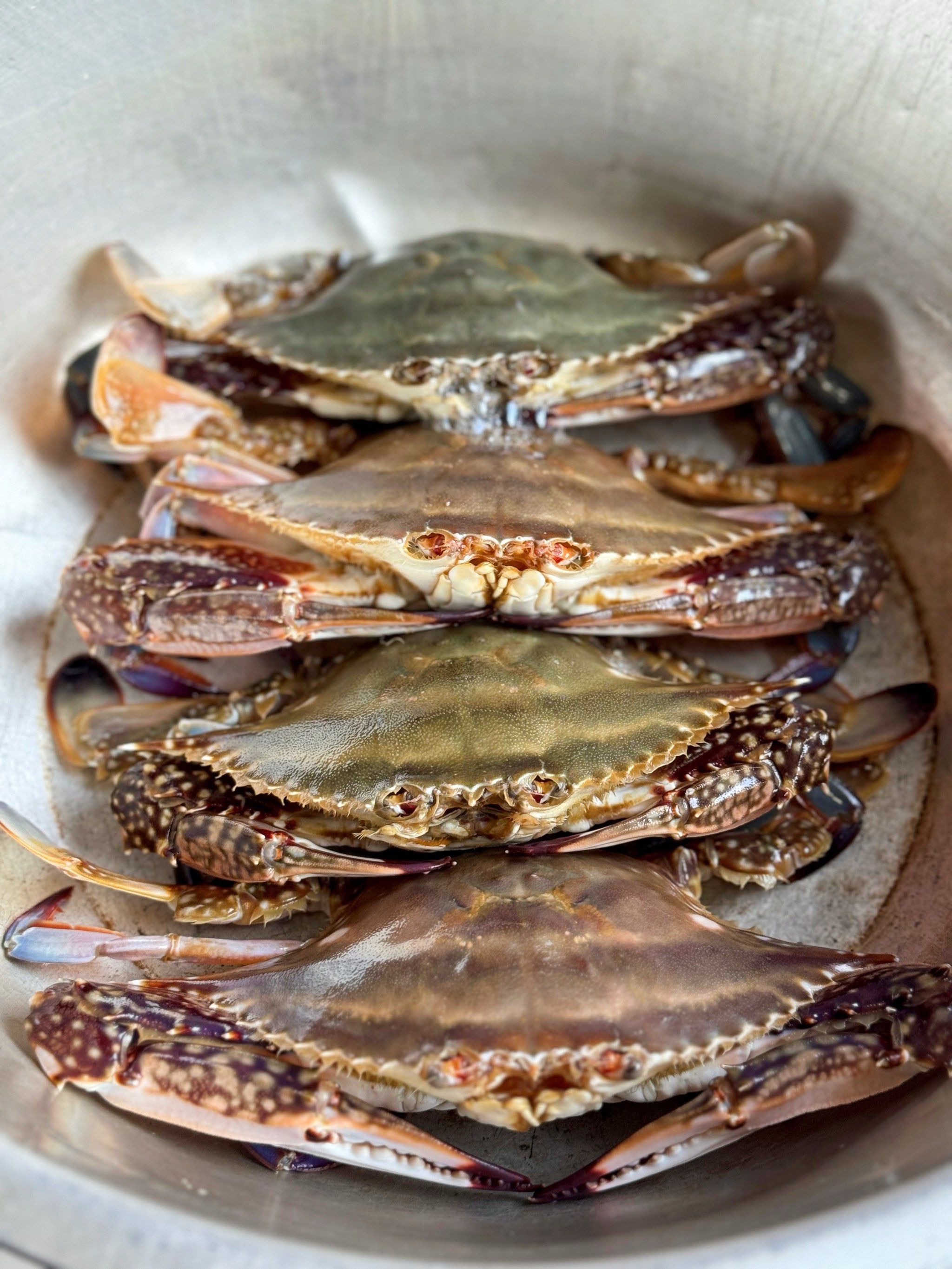 🌈秋天又到了吃螃蟹的季节,中秋前一天的时候在盒马上看梭子蟹是八