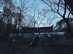 -惠山国家森林公园
