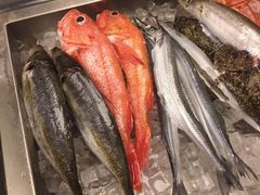 -舞鹤日本料理铁板烧(华侨城店)