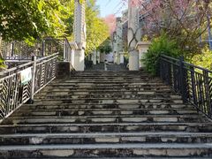 -墨江北回归线标志园