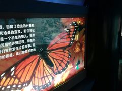 -上海昆虫博物馆