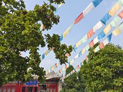-西安市广仁寺