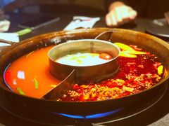 -渝涯重庆豆花老火锅(中赢国际店)