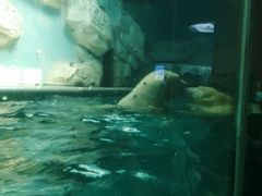 -泉城欧乐堡海洋极地世界