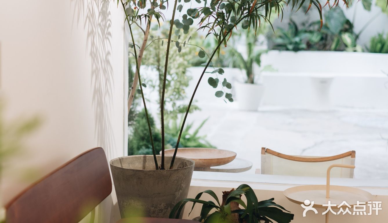 与植物生活在一起Ning's 