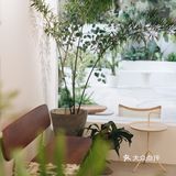 与植物生活在一起Ning's 