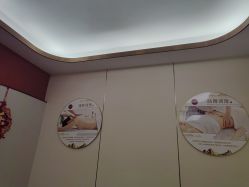 -金美秀瘦身养生