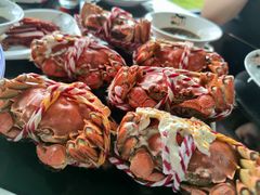 -七的湖·晚芳亭·阳澄湖农家菜·大闸蟹(莲花岛店)