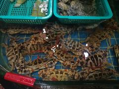 -海大大蒸汽海鲜餐厅·粤菜·特色小炒(欢乐颂店)