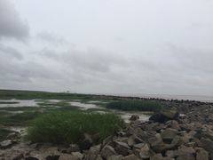 -南汇嘴观海公园