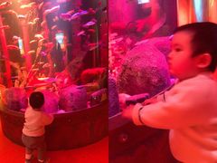 -沈阳海洋探索中心