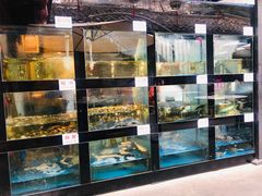 水产区-院8里·少城记忆老川菜(宽窄巷子店)