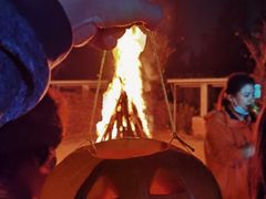 -前小桔亲子创意农场·草莓采摘·露营烧烤