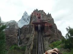 -奥兰多迪士尼动物王国乐园