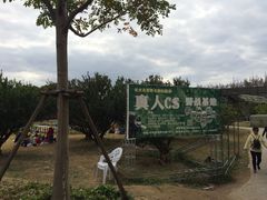 -上海长兴岛郊野公园