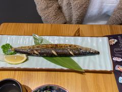 -锦鲤堂日本料理(莱茵之星店)