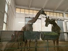 -石家庄市动物园