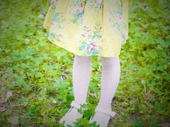 -白鹭湾湿地公园