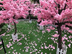 -郑州银基黄帝宫御温泉