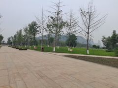 -桂溪生态公园