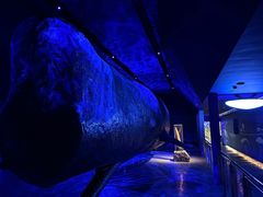 -厦门海底世界