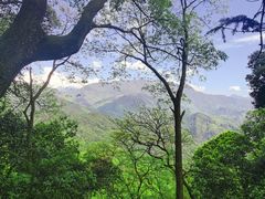 -青城山