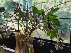 -BUND·FIVE外滩5号(天际店)