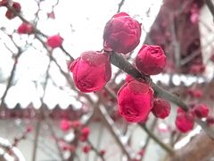 -郑和公园