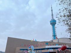 -长春中泰海洋世界