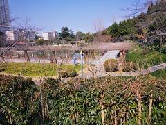 -嘉定紫藤园