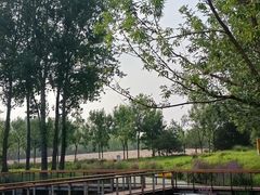 -东郊湿地公园