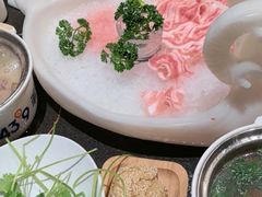 -蒙都43°9羊火锅(平庄店)