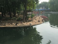 -太原动物园
