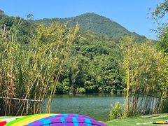 -广州市流溪河国家森林公园