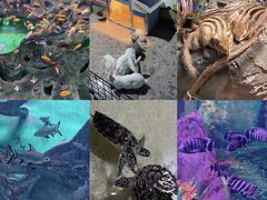 -常州海昌海洋探索馆