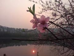 景点-重庆彩云湖湿地公园