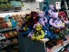 -济州岛泰迪熊博物馆