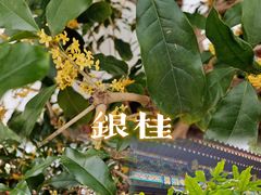 -颐和园