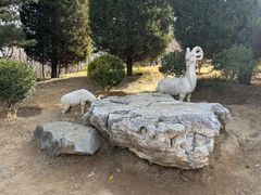 -燕郊植物园