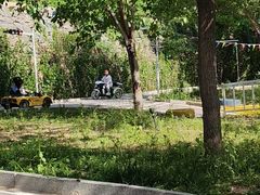 -西部长青自然儿童乐园