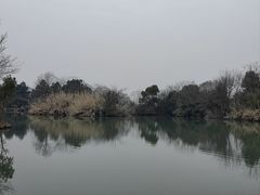 -西溪国家湿地公园