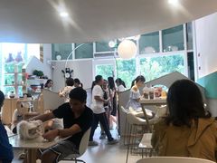 -飞行喵MR PILOT|猫舍·猫咖(静安大融城店)