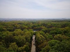 -灵谷景区