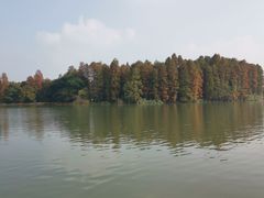 -东湖落雁景区