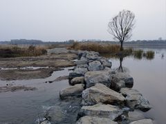 -绿堤公园