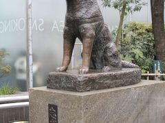 -涩谷区