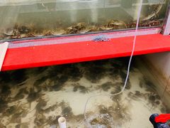 -乡乐园蟹庄·阳澄湖农家乐