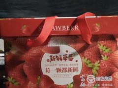 -田趣农庄草莓采摘园